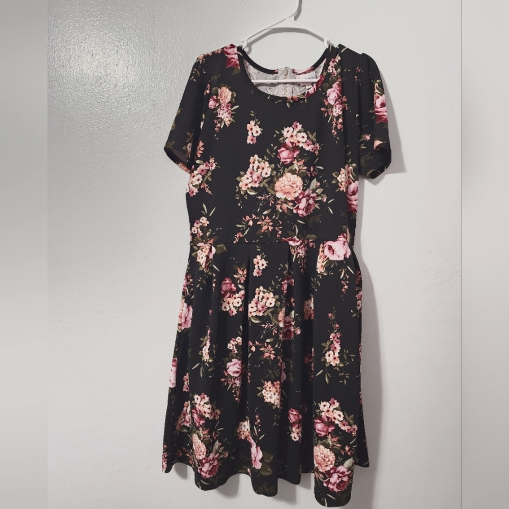 3X LuLaRoe Amelia dress